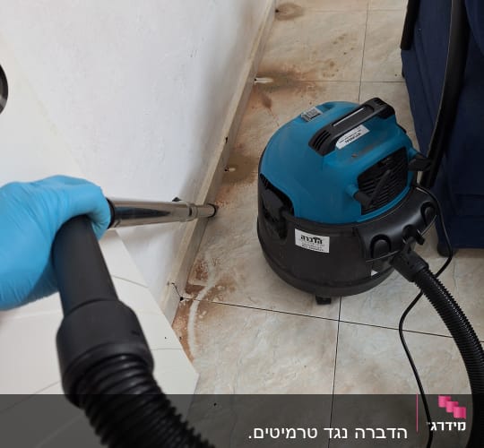 מדביר משתמש בשואב אבק לניקוי פינות רצפה